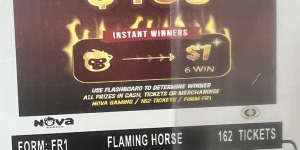 NOVA: Flaming Horse (162ct) - Image 1