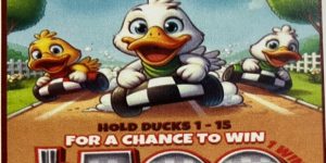 NOVA: DUCK RACE (1890ct) - Image 1