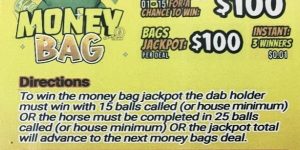 NOVA: MONEY BAG (1020ct) - Image 1