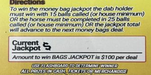 NOVA: MONEY BAG (1020ct) - Image 2