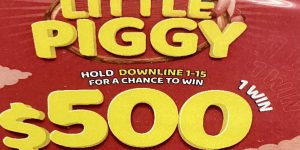 NOVA: LITTLE PIGGY (792ct) - Image 1