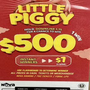 NOVA: LITTLE PIGGY (792ct) - Image 2