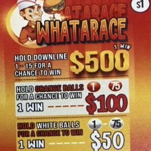 NOVA: WHATARACE (1020ct) - Image 1