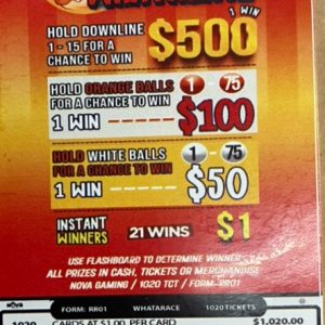 NOVA: WHATARACE (1020ct) - Image 3