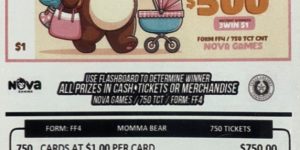 NOVA: MOMMA BEAR (750ct) - Image 2
