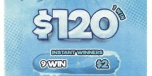 NOVA: Penguin RUN (210ct) - Image 2