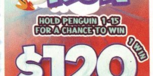 NOVA: Penguin RUN (210ct) - Image 4