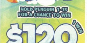 NOVA: Penguin RUN (210ct) - Image 5