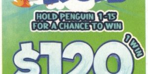 NOVA: Penguin RUN (210ct) - Image 3