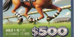 NOVA: DERBY DASH (780ct) - Image 2