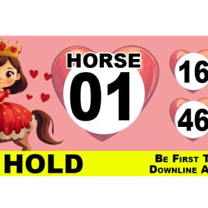 ALAMO: Queen of Hearts Racing (1679 Ct) - Image 5