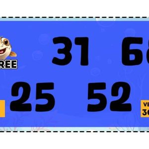 ALAMO: Double Puffers $300 (944 Ct) - Image 3