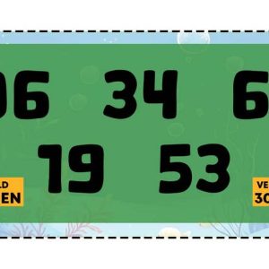 ALAMO: Double Puffers $300 (944 Ct) - Image 4