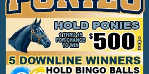 ALAMO: Down Line Ponies (1574 ct) - Image 1