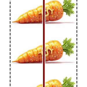 ALAMO: Bunny Bucks (244 ct) - Image 4