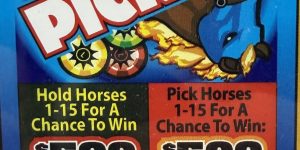 AMG: Horse Picker (1650 Ct) - Image 2